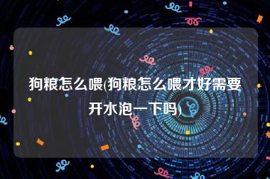 狗粮怎么喂(狗粮怎么喂才好需要开水泡一下吗)