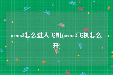 arma3怎么进入飞机(arma3飞机怎么开)