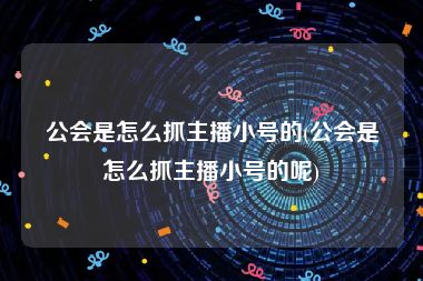 公会是怎么抓主播小号的(公会是怎么抓主播小号的呢)