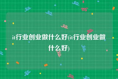 it行业创业做什么好(it行业创业做什么好)