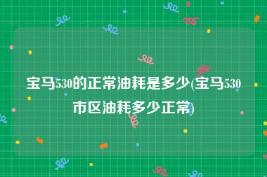 宝马530的正常油耗是多少(宝马530市区油耗多少正常)