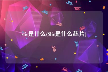 slic是什么(Slic是什么芯片)