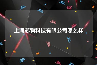 上海芯物科技有限公司怎么样