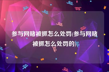 参与网赌被抓怎么处罚(参与网赌被抓怎么处罚的)