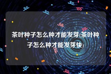 茶叶种子怎么种才能发芽(茶叶种子怎么种才能发芽快)