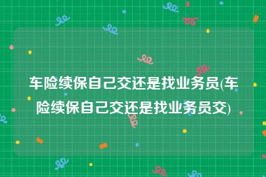 车险续保自己交还是找业务员(车险续保自己交还是找业务员交)