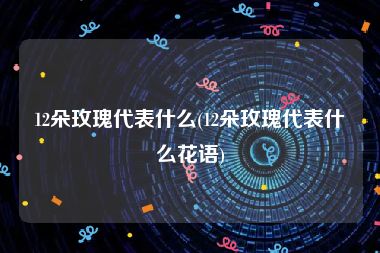 12朵玫瑰代表什么(12朵玫瑰代表什么花语)