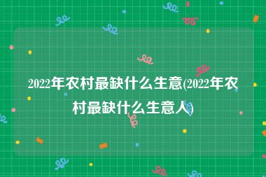 2022年农村最缺什么生意(2022年农村最缺什么生意人)