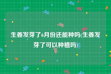 生姜发芽了6月份还能种吗(生姜发芽了可以种植吗)