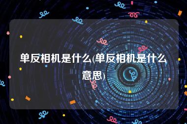 单反相机是什么(单反相机是什么意思)