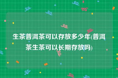 生茶普洱茶可以存放多少年(普洱茶生茶可以长期存放吗)