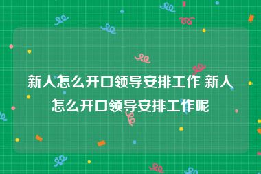 新人怎么开口领导安排工作 新人怎么开口领导安排工作呢