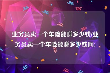 业务员卖一个车险能赚多少钱(业务员卖一个车险能赚多少钱啊)