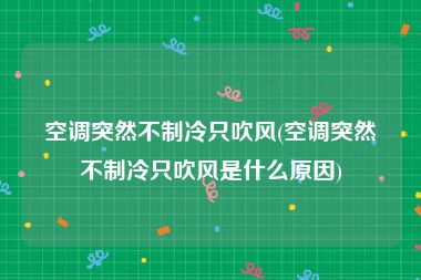 空调突然不制冷只吹风(空调突然不制冷只吹风是什么原因)