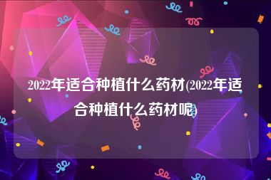 2022年适合种植什么药材(2022年适合种植什么药材呢)