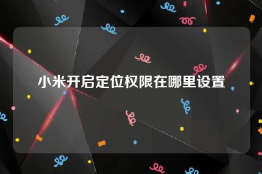 小米开启定位权限在哪里设置