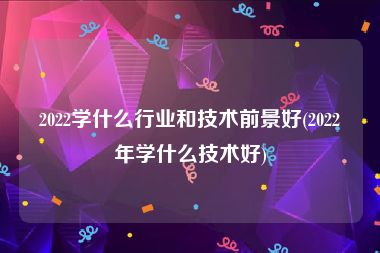 2022学什么行业和技术前景好(2022年学什么技术好)