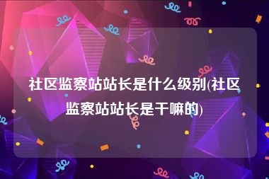 社区监察站站长是什么级别(社区监察站站长是干嘛的)