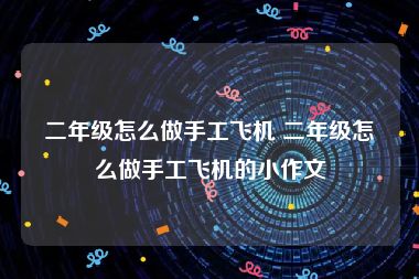 二年级怎么做手工飞机 二年级怎么做手工飞机的小作文