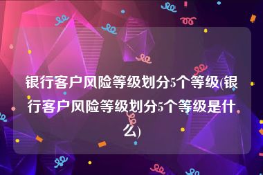 银行客户风险等级划分5个等级(银行客户风险等级划分5个等级是什么)