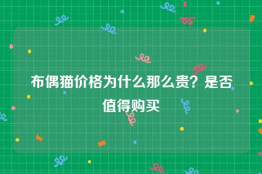 布偶猫价格为什么那么贵？是否值得购买