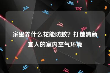 家里养什么花能防蚊？打造清新宜人的室内空气环境