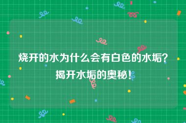 烧开的水为什么会有白色的水垢？揭开水垢的奥秘！