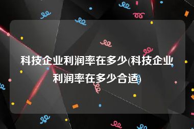 科技企业利润率在多少(科技企业利润率在多少合适)