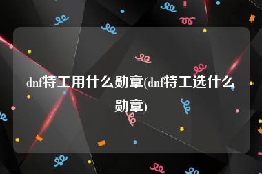 dnf特工用什么勋章(dnf特工选什么勋章)