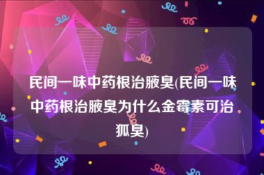 民间一味中药根治腋臭(民间一味中药根治腋臭为什么金霉素可治狐臭)