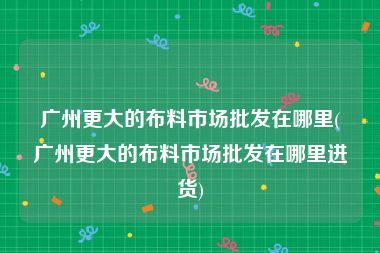 广州更大的布料市场批发在哪里(广州更大的布料市场批发在哪里进货)