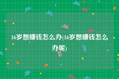 16岁想赚钱怎么办(16岁想赚钱怎么办呢)