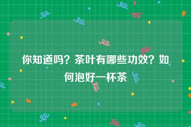 你知道吗？茶叶有哪些功效？如何泡好一杯茶