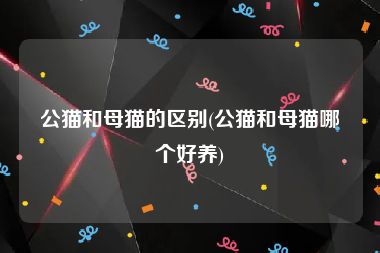 公猫和母猫的区别(公猫和母猫哪个好养)