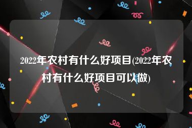 2022年农村有什么好项目(2022年农村有什么好项目可以做)