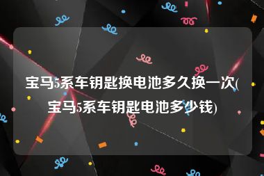 宝马5系车钥匙换电池多久换一次(宝马5系车钥匙电池多少钱)