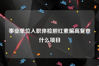 事业单位入职体检胆红素偏高复查什么项目