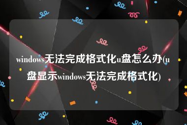 windows无法完成格式化u盘怎么办(u盘显示windows无法完成格式化)