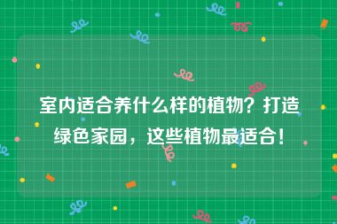 室内适合养什么样的植物？打造绿色家园，这些植物最适合！