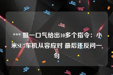  *** 姐一口气给出10多个指令：小米SU7车机从容应对 最后还反问一句