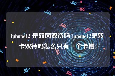 iphone12 是双网双待吗(iphone12是双卡双待吗怎么只有一个卡槽)