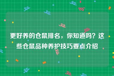 更好养的仓鼠排名，你知道吗？这些仓鼠品种养护技巧要点介绍