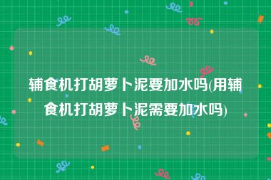 辅食机打胡萝卜泥要加水吗(用辅食机打胡萝卜泥需要加水吗)