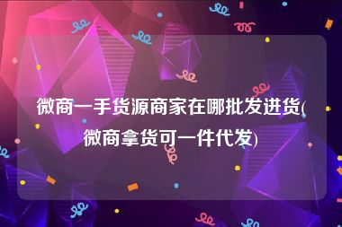 微商一手货源商家在哪批发进货(微商拿货可一件代发)