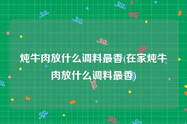 炖牛肉放什么调料最香(在家炖牛肉放什么调料最香)