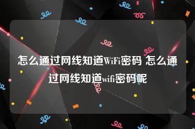 怎么通过网线知道WiFi密码 怎么通过网线知道wifi密码呢