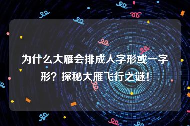 为什么大雁会排成人字形或一字形？探秘大雁飞行之谜！