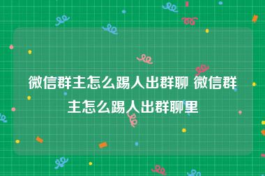 微信群主怎么踢人出群聊 微信群主怎么踢人出群聊里