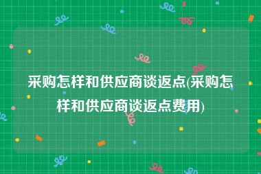 采购怎样和供应商谈返点(采购怎样和供应商谈返点费用)