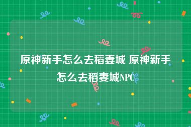 原神新手怎么去稻妻城 原神新手怎么去稻妻城NPC